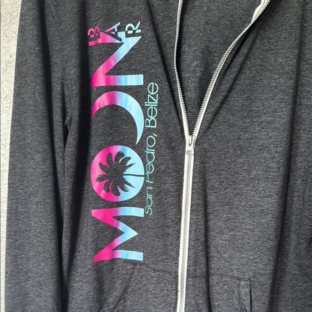Threadfast Apparel Belize Gray Zip-Up Hoodie - Picture 3 of 6